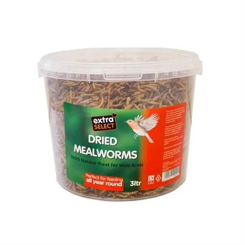 Extra Select Mealworms