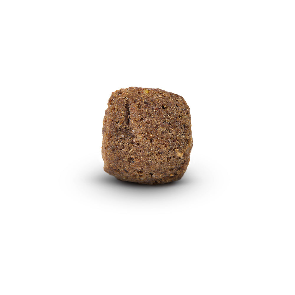 Arden Grange Sensitive Senior Superfood Dog Food