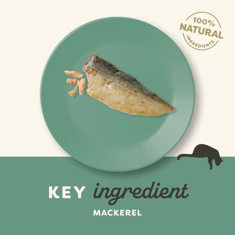 Applaws Cat Mackerel Loin