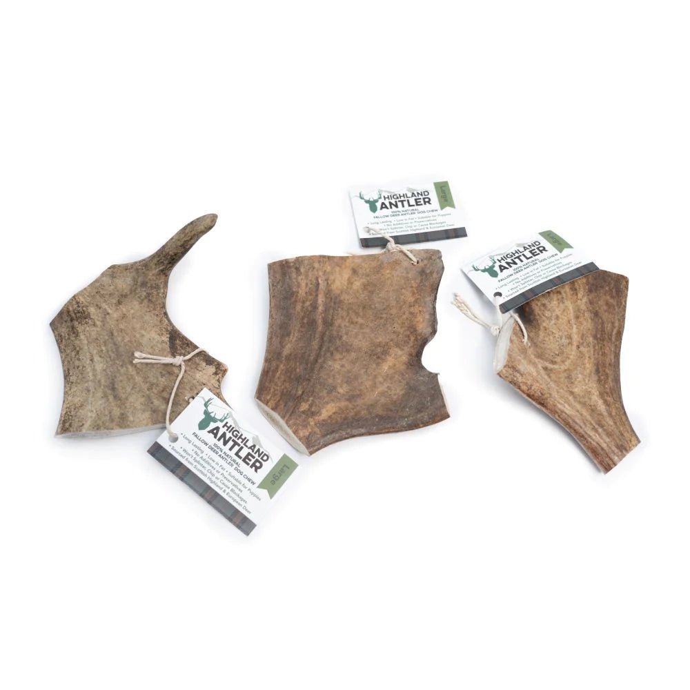 Highland Fallow Antler Dog Chews