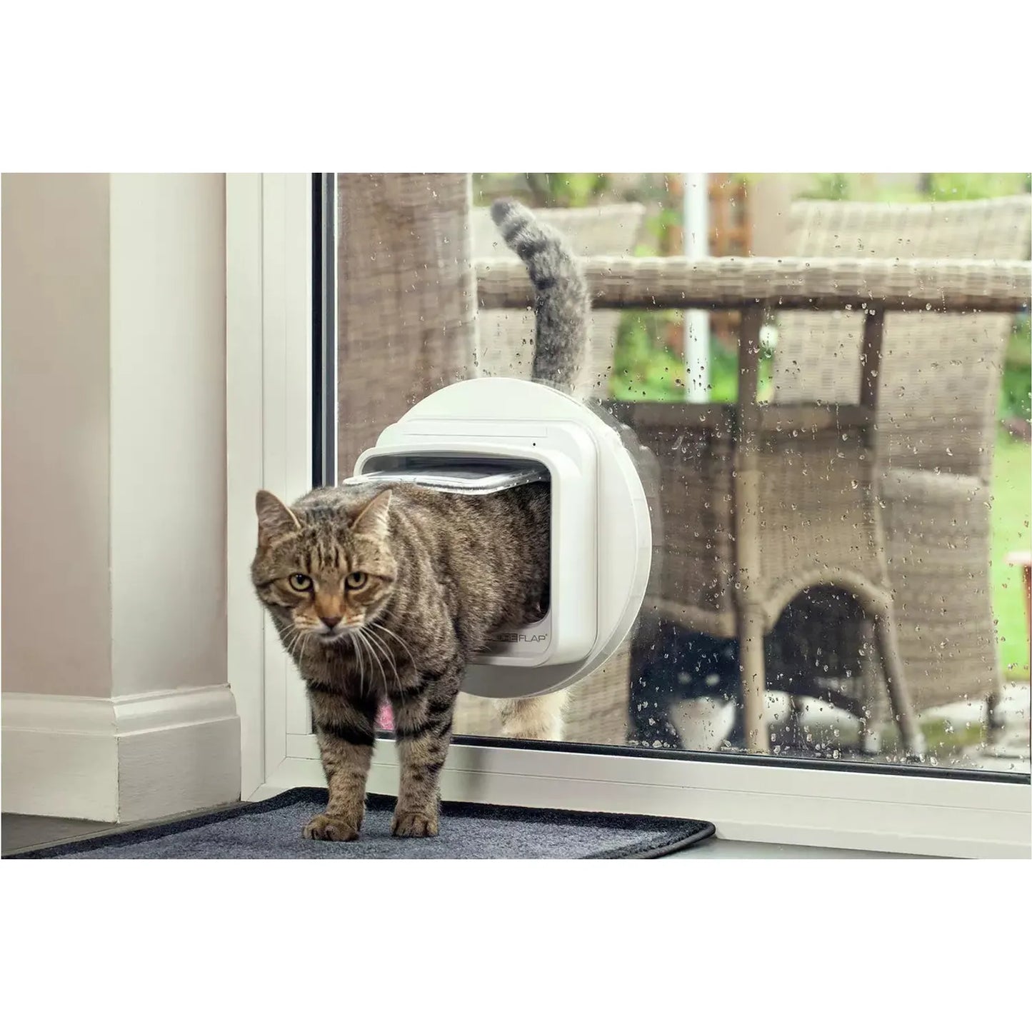 SureFlap DualScan Microchip Cat Flap