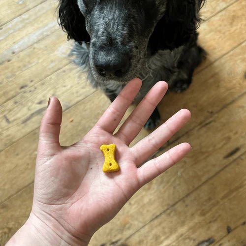 Beco Peanut with Coconut & Turmeric Dog Treats