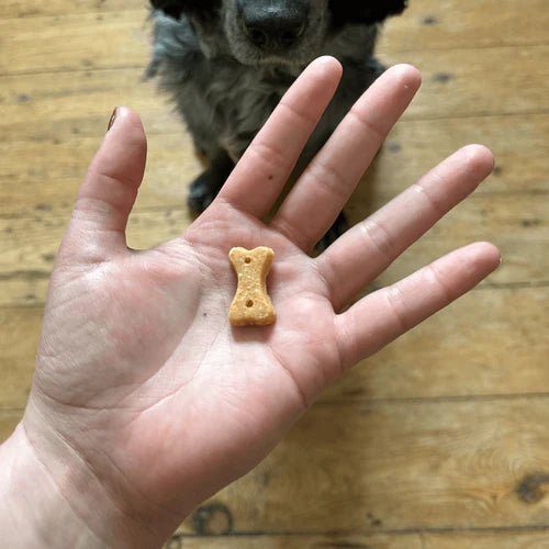 Beco Cashew with Pumpkin Seed & Carrot Dog Treats