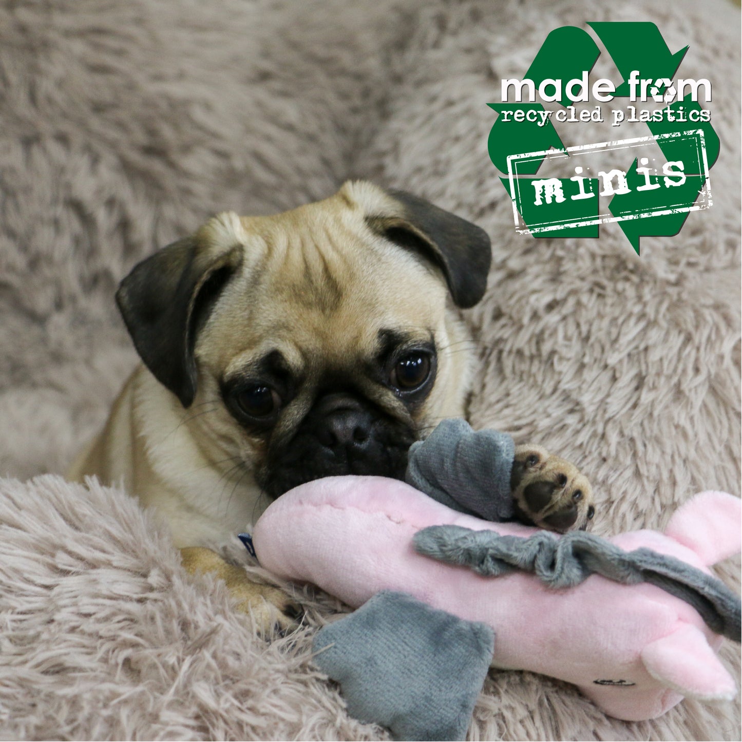 Ancol Made From Mini Seahorse Small Dog Toy