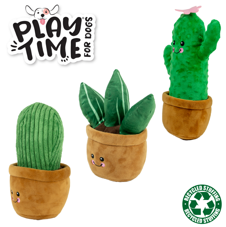 Ancol Cuddly Cactus Dog Toy – World of Pets