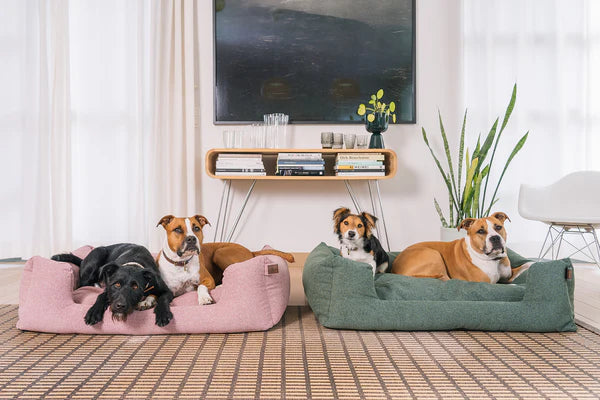 Fantail Origin Snooze Iconic Pink Basket Dog Bed