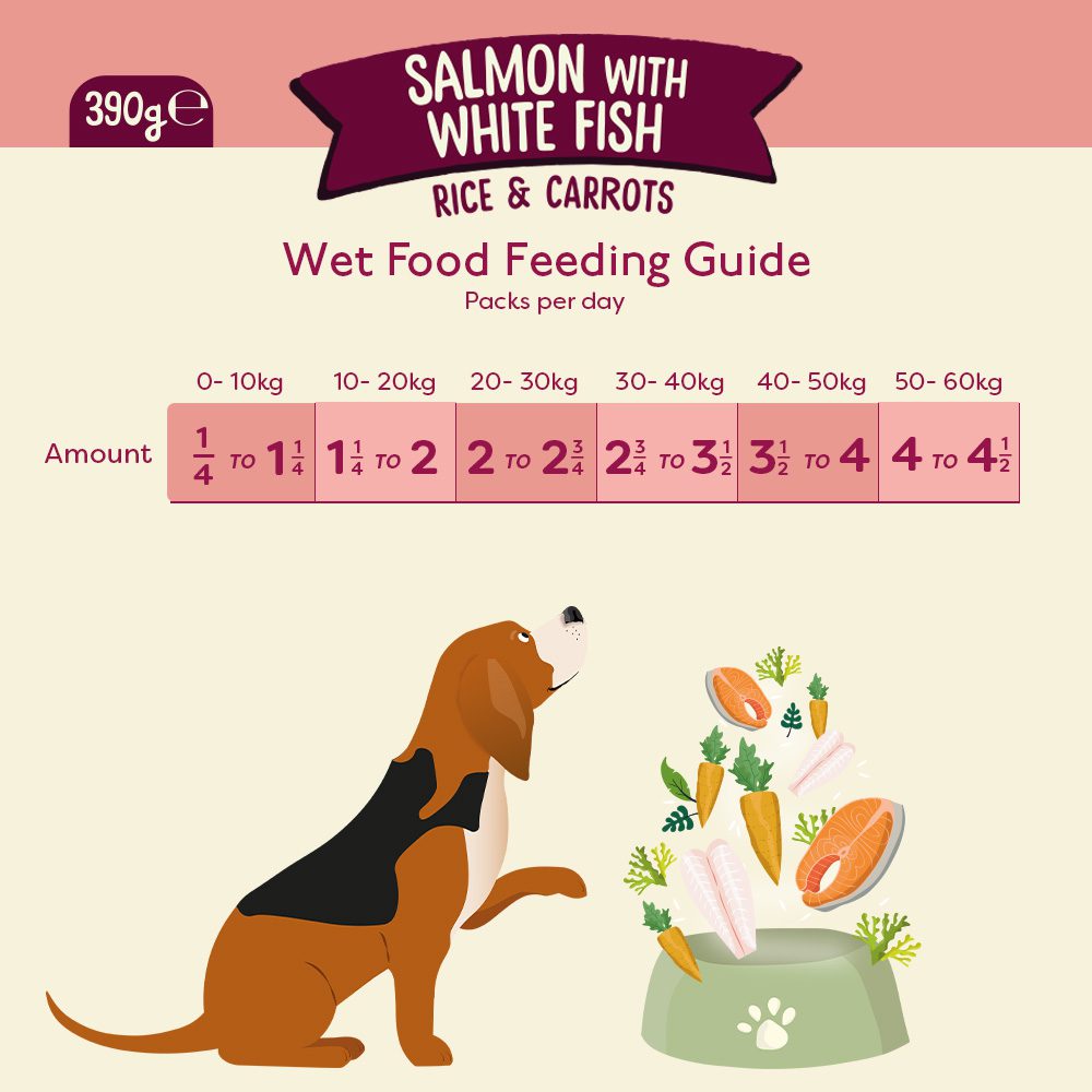 Naturediet Feel Good Salmon Wet Dog Food