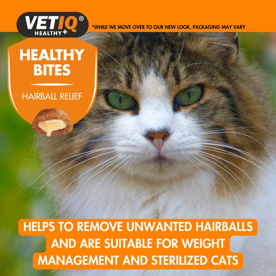 Vet IQ Healthy Bites Hairball Relief For Cats 65g