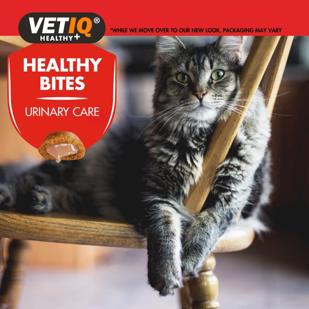 Vet IQ Healthy Bites Urinary Care for Cats 65g