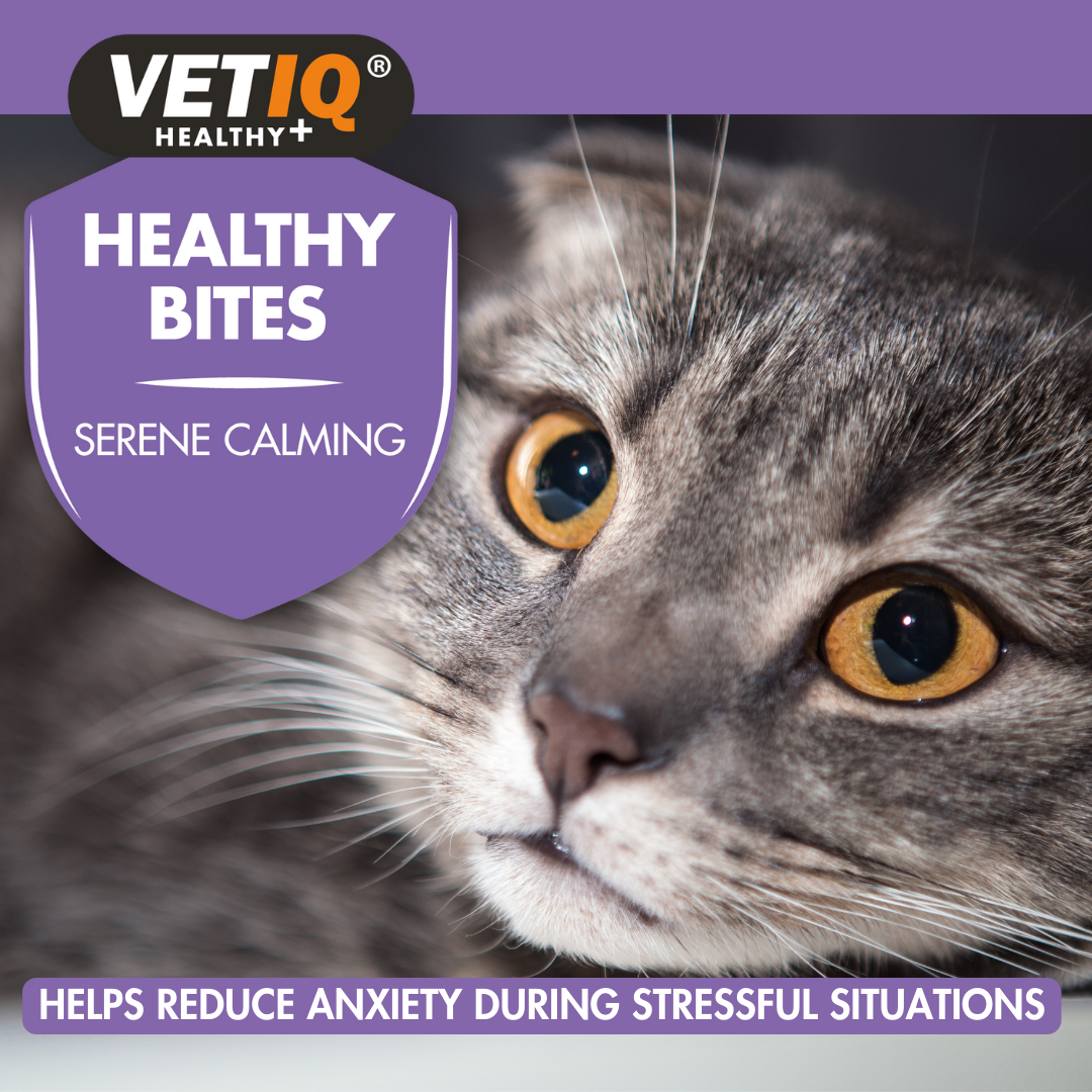 Vet IQ Healthy Bites Serene Calming For Cats 65g