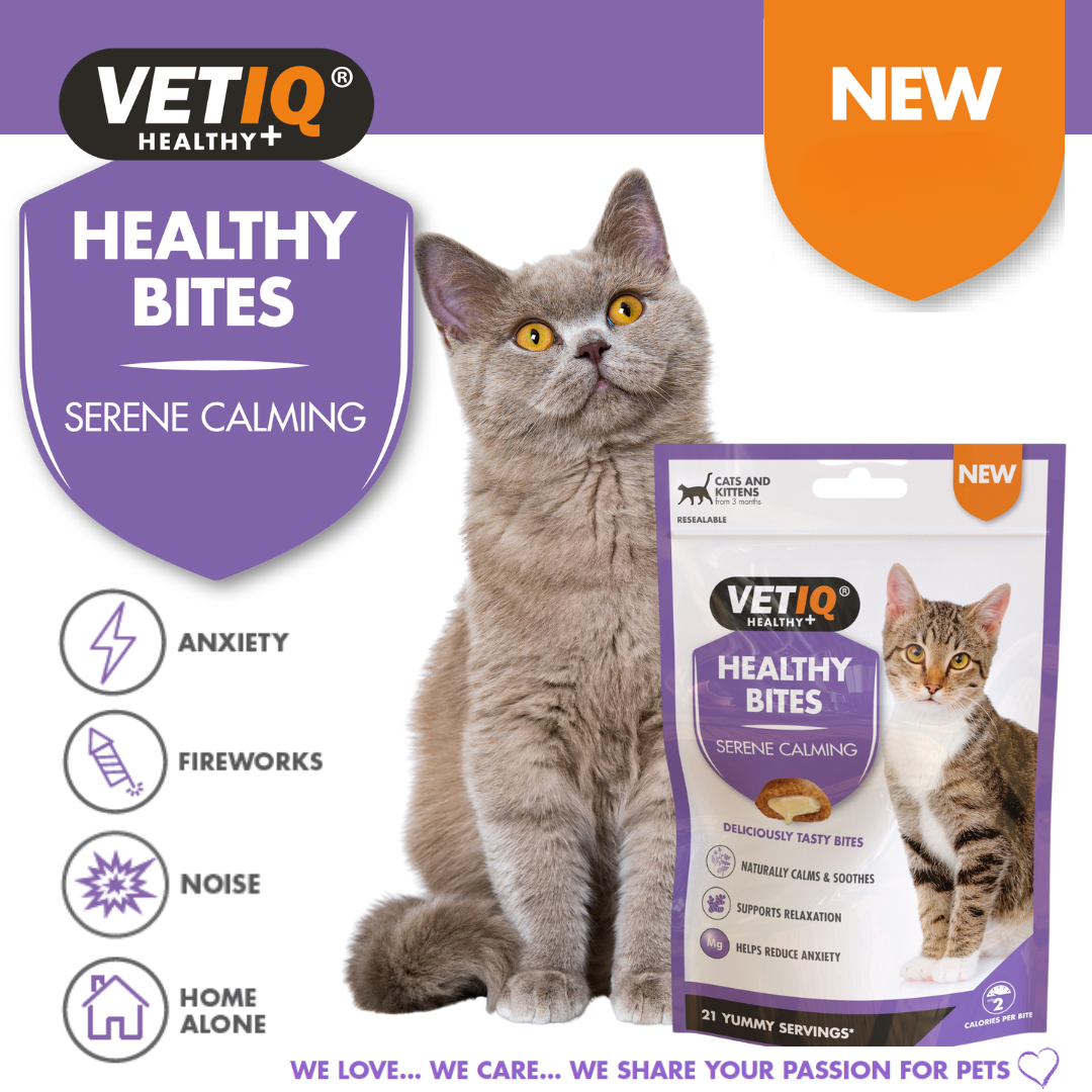 Vet IQ Healthy Bites Serene Calming For Cats 65g