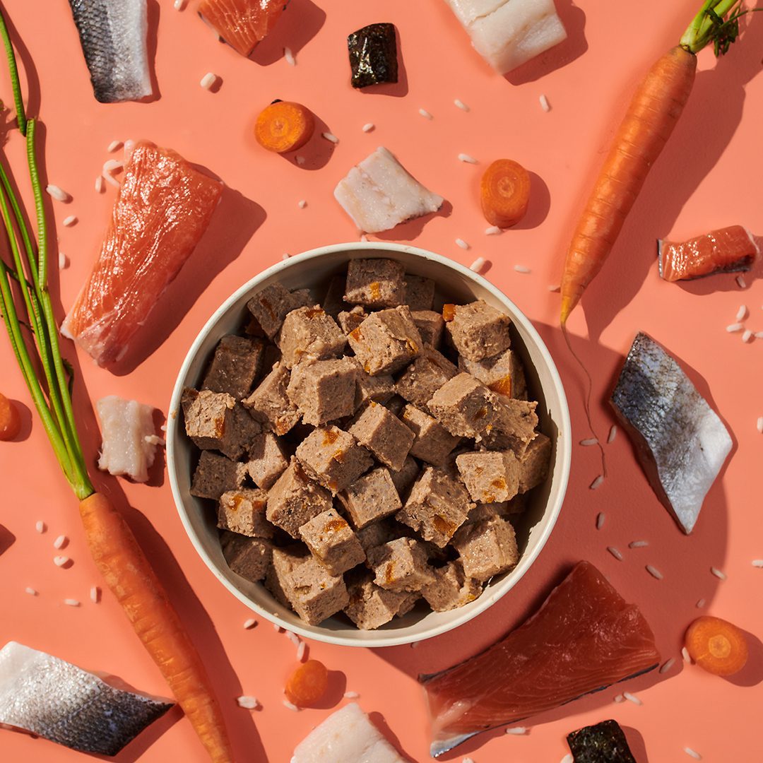 Naturediet Feel Good Salmon Wet Dog Food