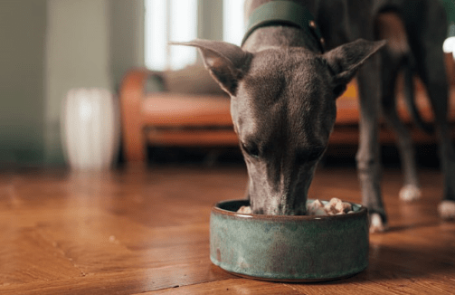 McAdams Freeze Dried Salmon & Sole Dog Food