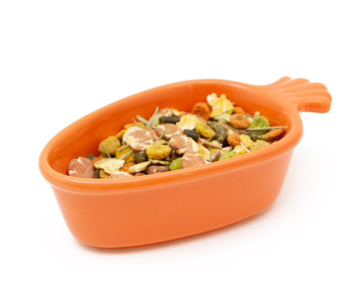 G&S Ceramic Carrot Pet Dish