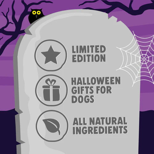 Denzel's Halloween Lantern Pumpkin Dog Treats