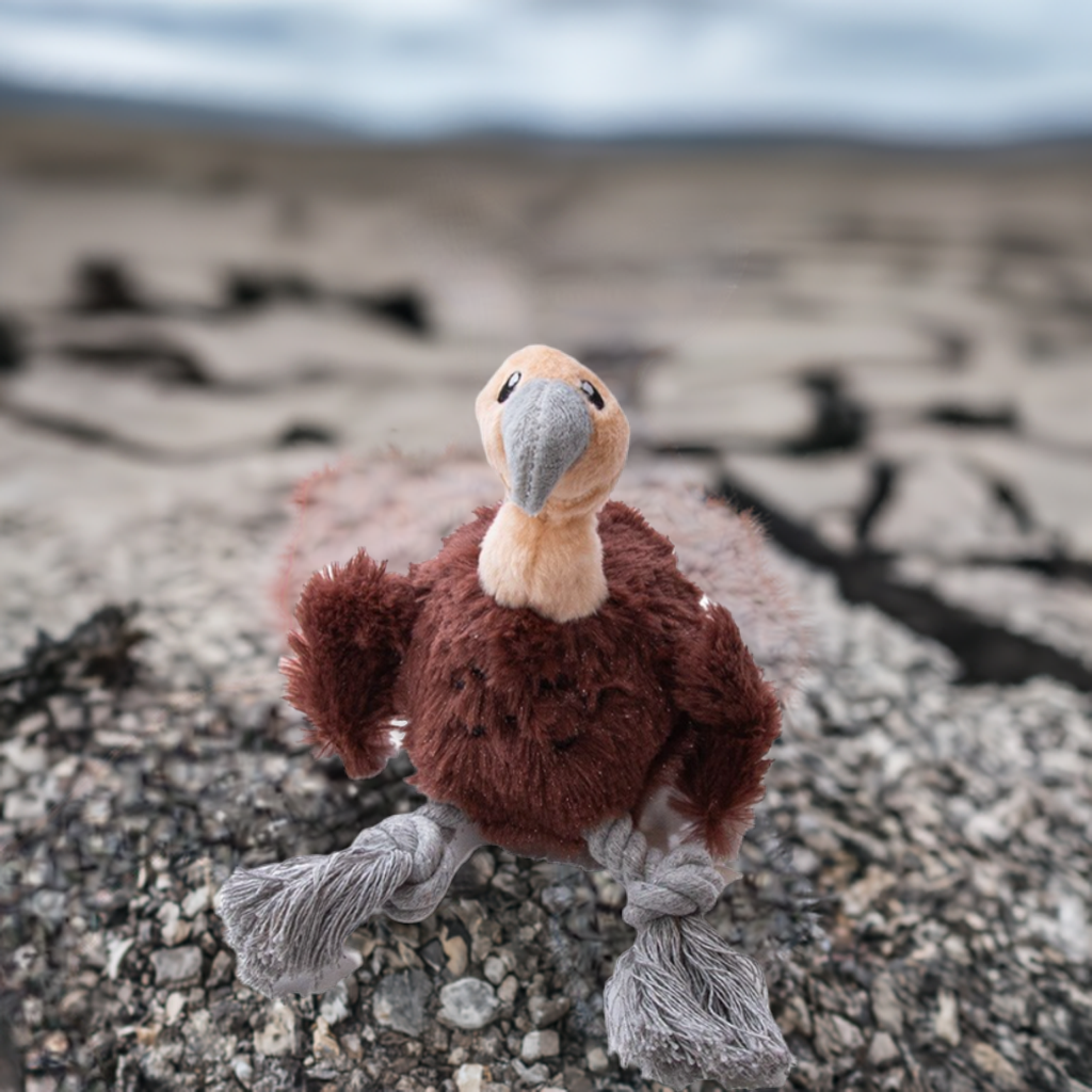 Great & Small Stay Wild Vulture Cuddle & Play Soft Dog Toy