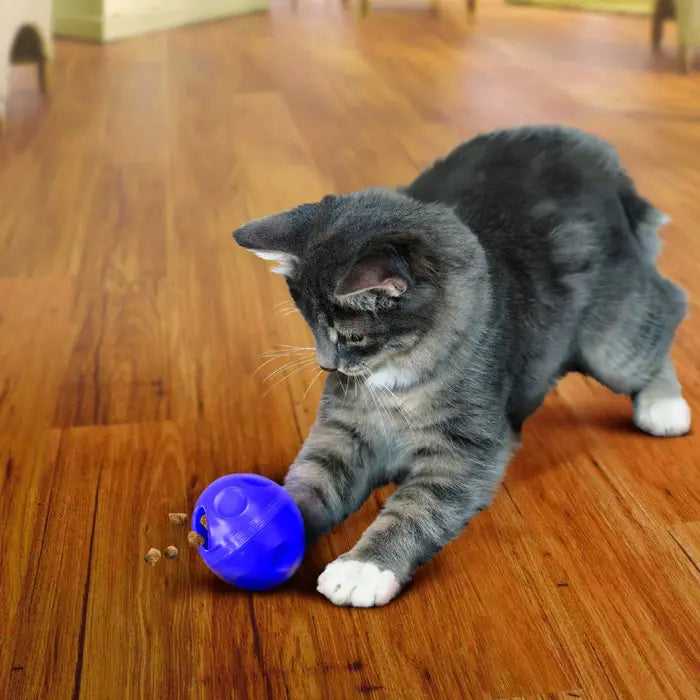 KONG Treat Ball for Cats