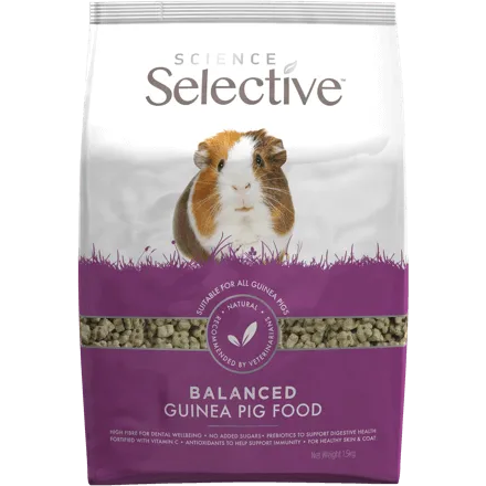 Supreme Gerty Guinea Pig