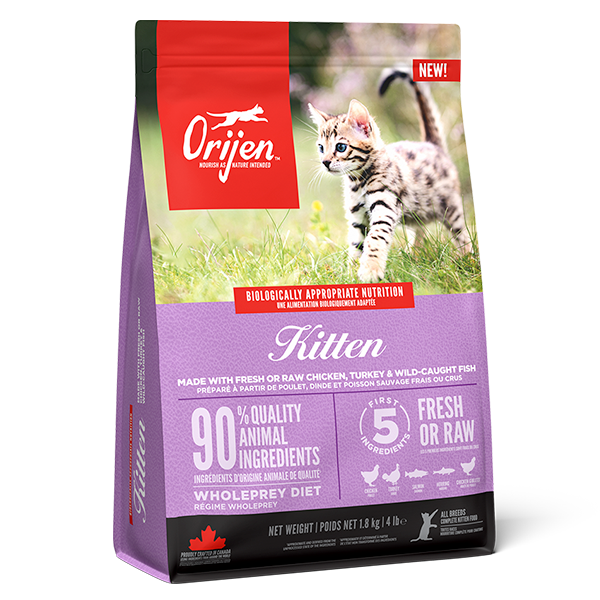 Orijen Kitten Food