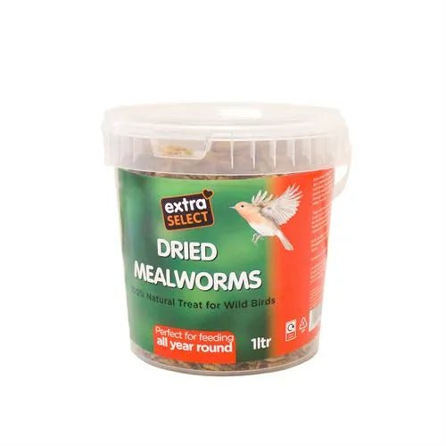 Extra Select Mealworms