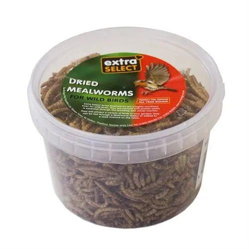 Extra Select Mealworms