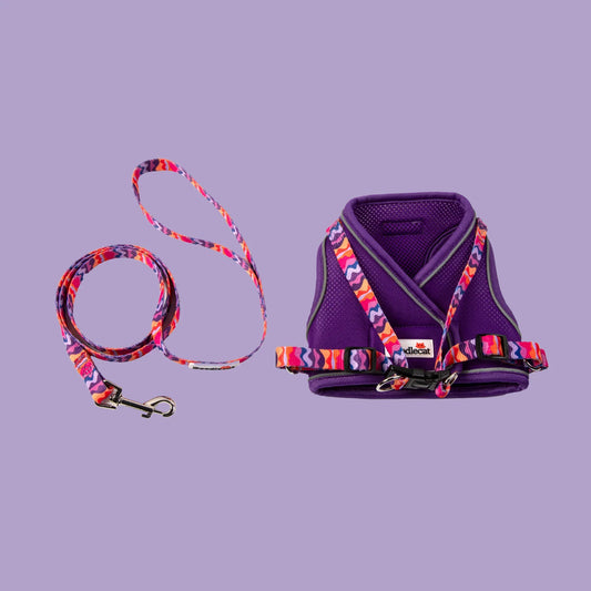 Doodlecat Cat Harness & Lead Set - Violet & Dunes