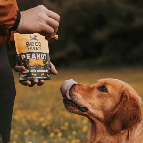 Beco Peanut with Coconut & Turmeric Dog Treats