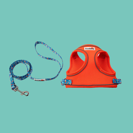 Doodlecat Cat Harness & Lead Set - Tangerine & Reef