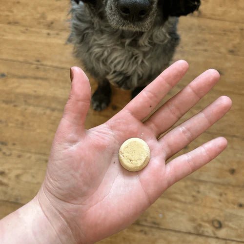Beco Chicken Liver with Parsnip & Honey Dog Treats