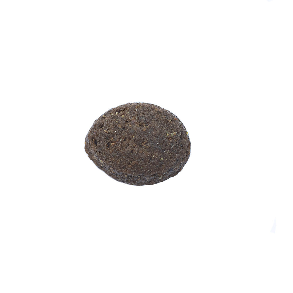 Arden Grange Grain Free Adult Duck & Superfood Dog Food