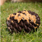 Örva Pine Cone Treat-Dispensing Dog Toy
