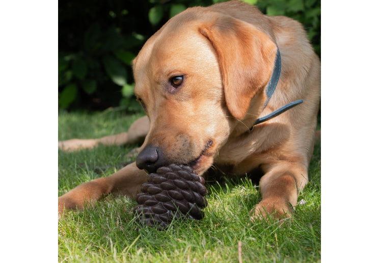 Örva Pine Cone Treat-Dispensing Dog Toy