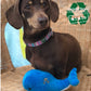 Ancol Made From Mini Oshi Small Dog Toy