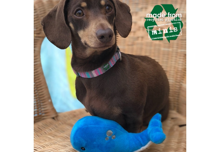 Ancol Made From Mini Oshi Small Dog Toy