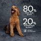 Dog sitting next to text about a pet food product with 80% free run duck and 20% superfood blend on a dark background.