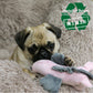 Ancol Made From Mini Seahorse Small Dog Toy