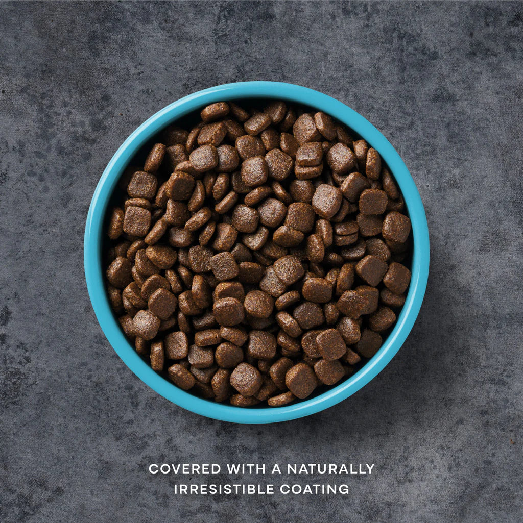 A blue bowl filled with AATU salmon dog food lays flat on a gray background. The kibble is dark brown with a gloss coating. The pieces are small and identical. Under the bowl it reads 'Covered with a naturally irresistible coasting'