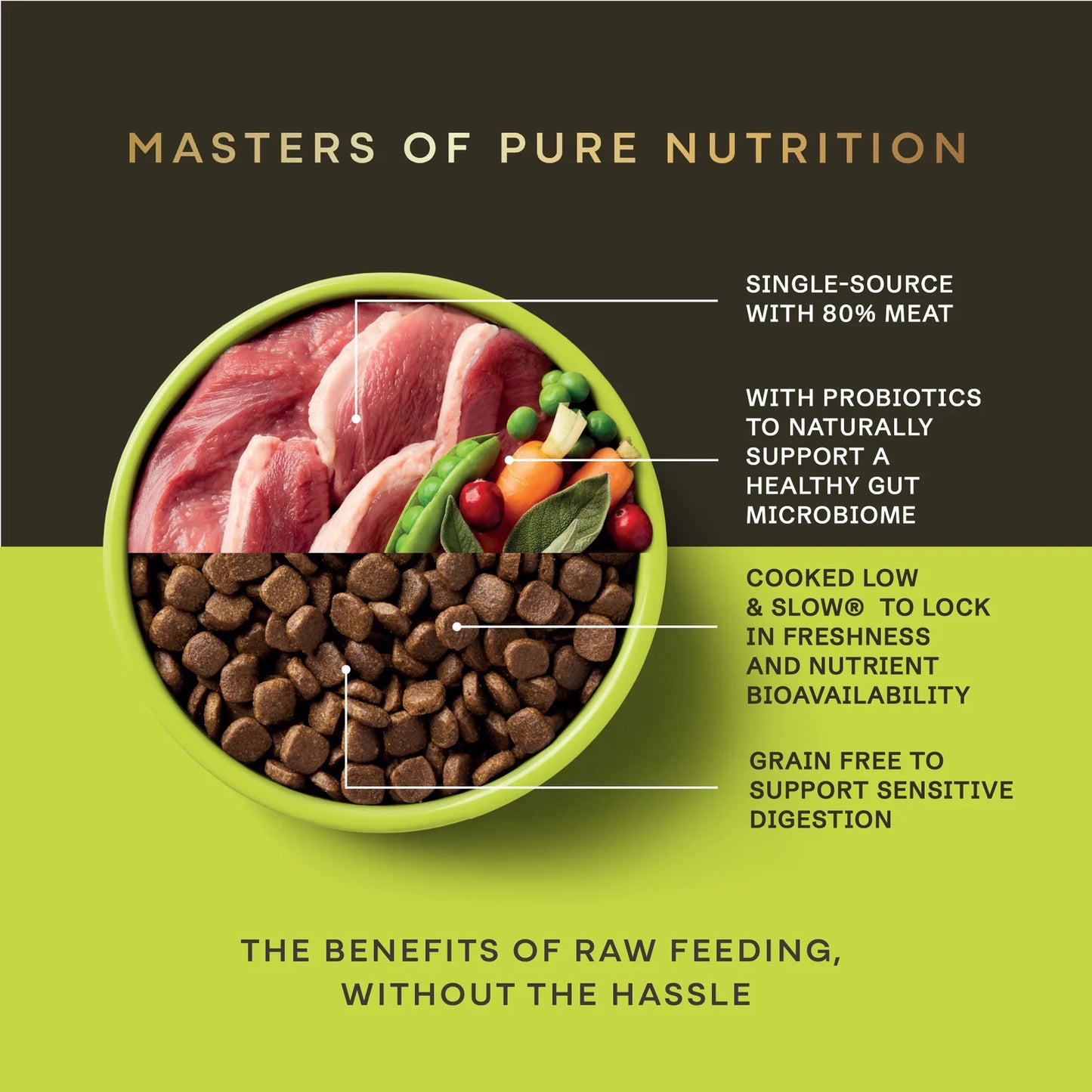 Dog food bowl with raw meat, vegetables, and kibble labeled with benefits on a green and brown background.