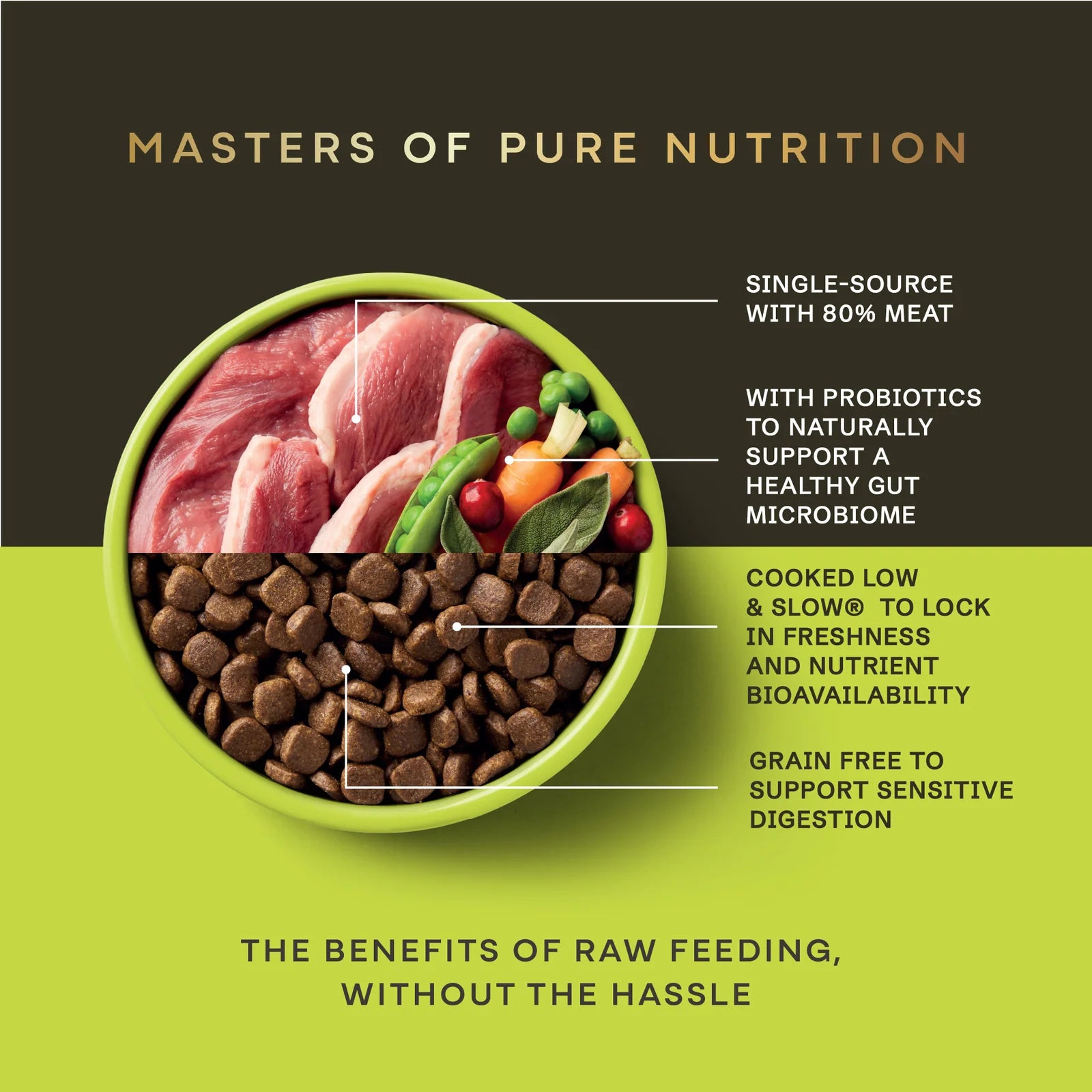 Dog food bowl with raw meat, vegetables, and kibble labeled with benefits on a green and brown background.