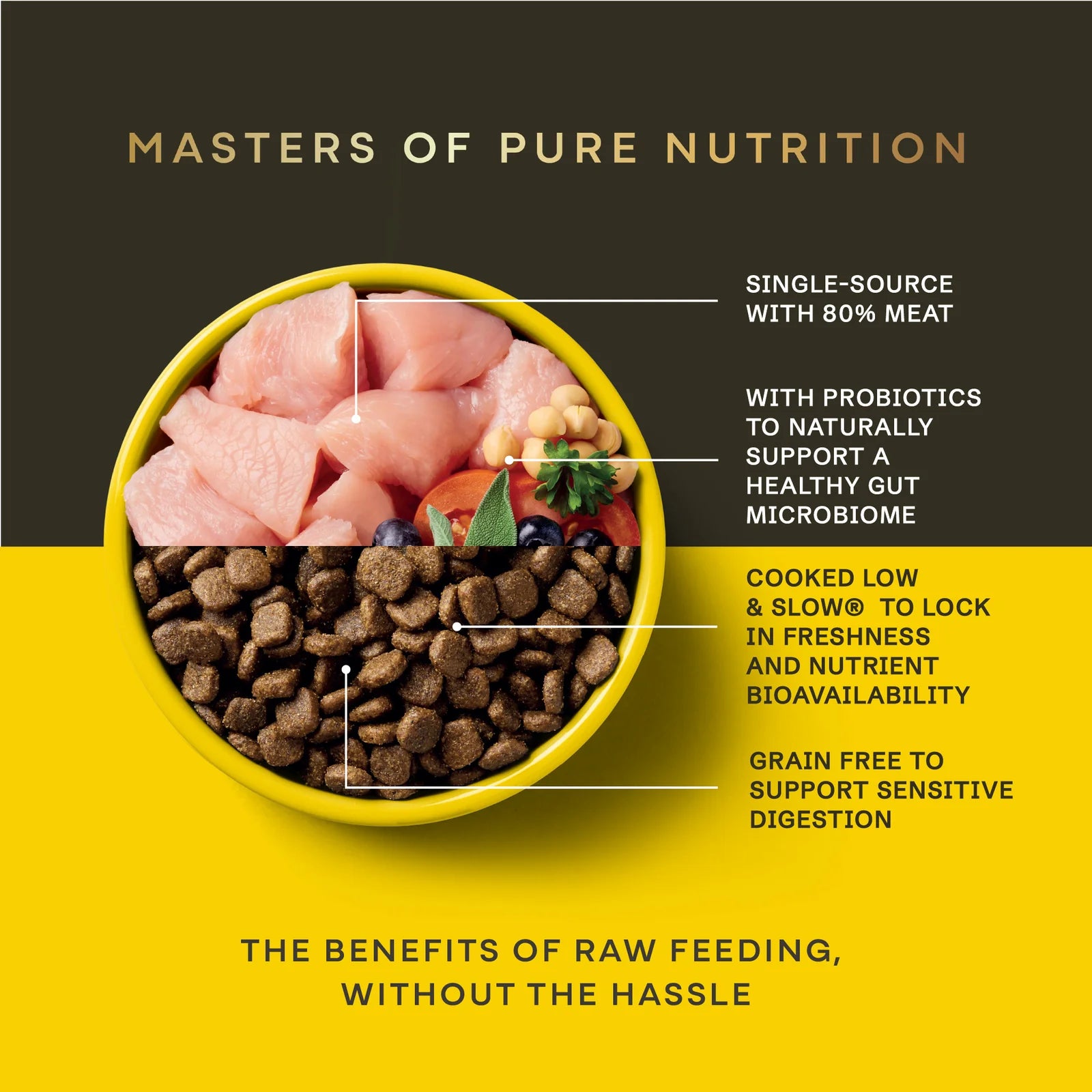 Dog food bowl with raw meat and dry kibble, labeled with nutritional benefits on a yellow and black background.