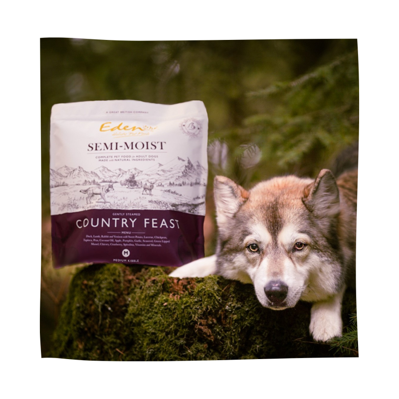 Eden Semi-Moist Country Feast Dog Food