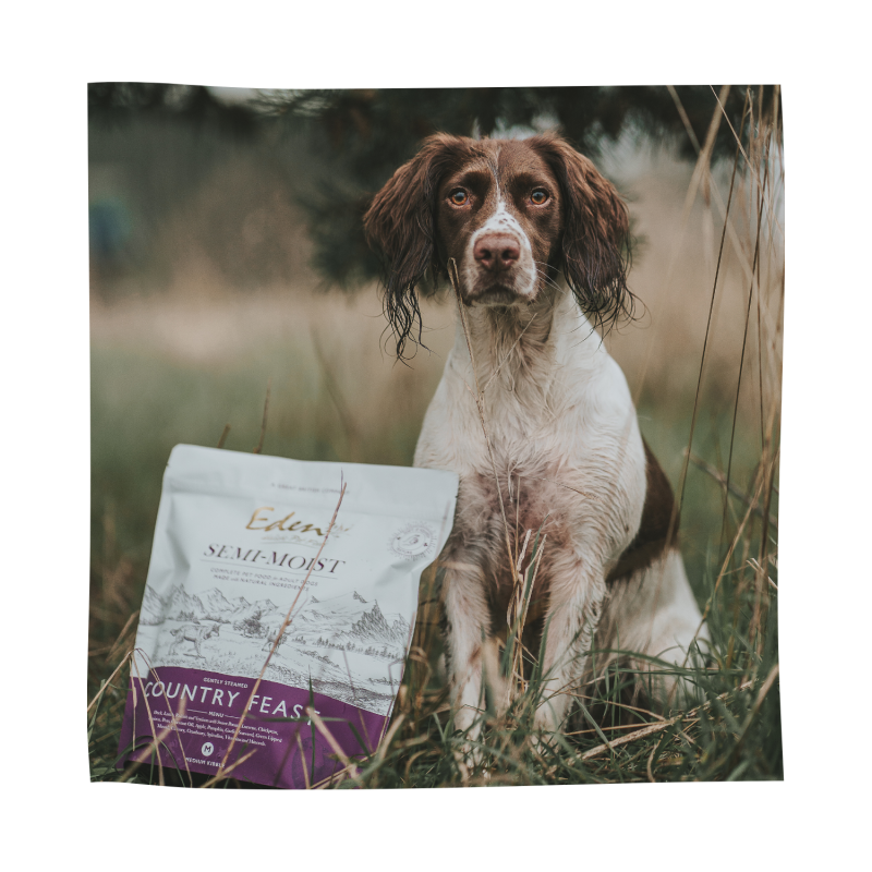 Eden Semi-Moist Country Feast Dog Food