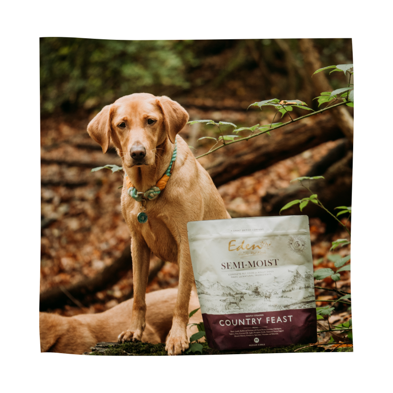 Eden Semi-Moist Country Feast Dog Food