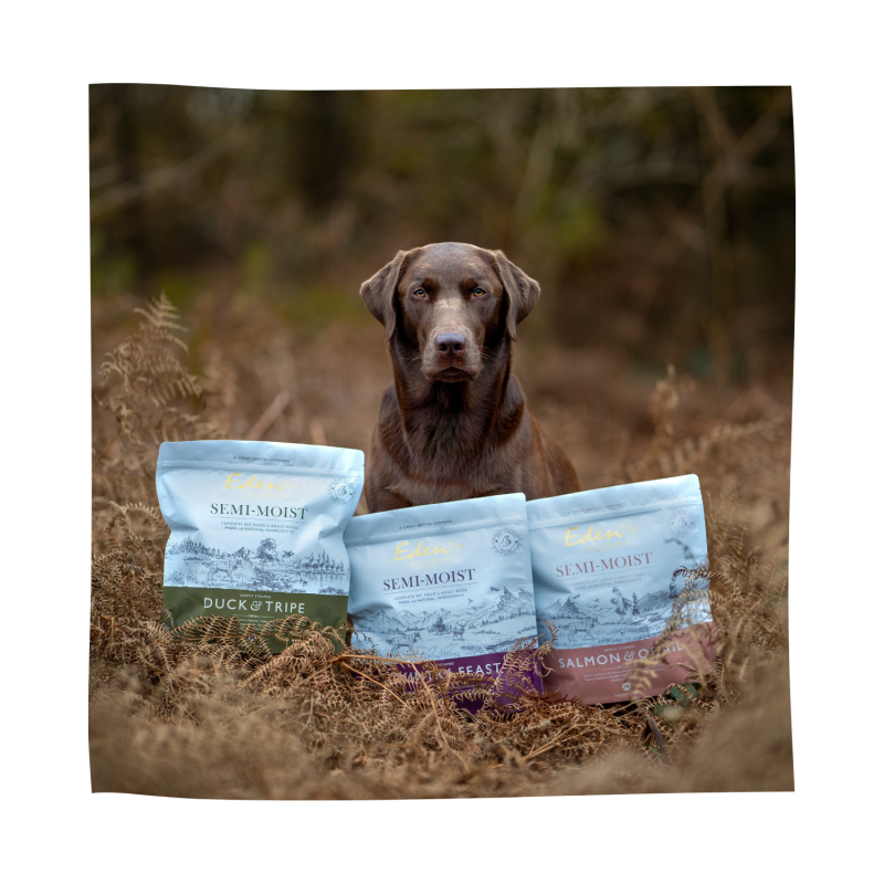 Eden Semi-Moist Country Feast Dog Food