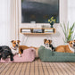 Fantail Origin Snooze Iconic Pink Basket Dog Bed