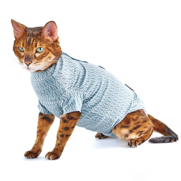 Buster Body Suit Cat Step'n Go