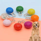LED Clip on Dog Light for Dark Nights