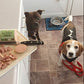 Two dogs in a kitchen eagerly waiting to be served Jr Pure Rabbit Pate, depicted on a chopping board on the kitchen counter. Pate cut into slices and chunks.