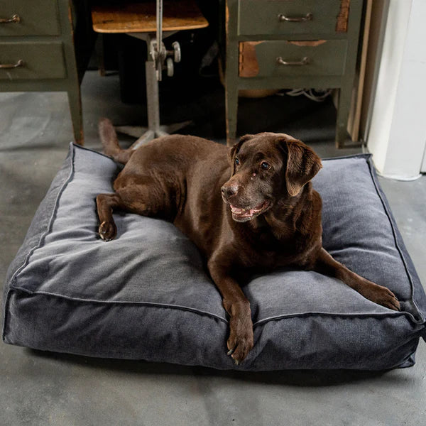 Fantail Mellow Mattress Smoke Grey Dog Bed