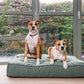 Fantail Origin Mattress Botanical Green Dog Bed